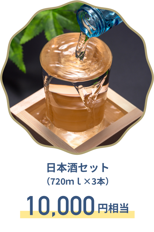 B賞 日本酒セット（720ml×2＋α　or 720ml×3本）